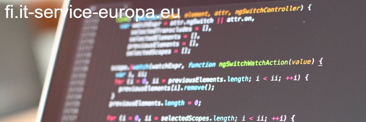 fi.it-service-europa.eu